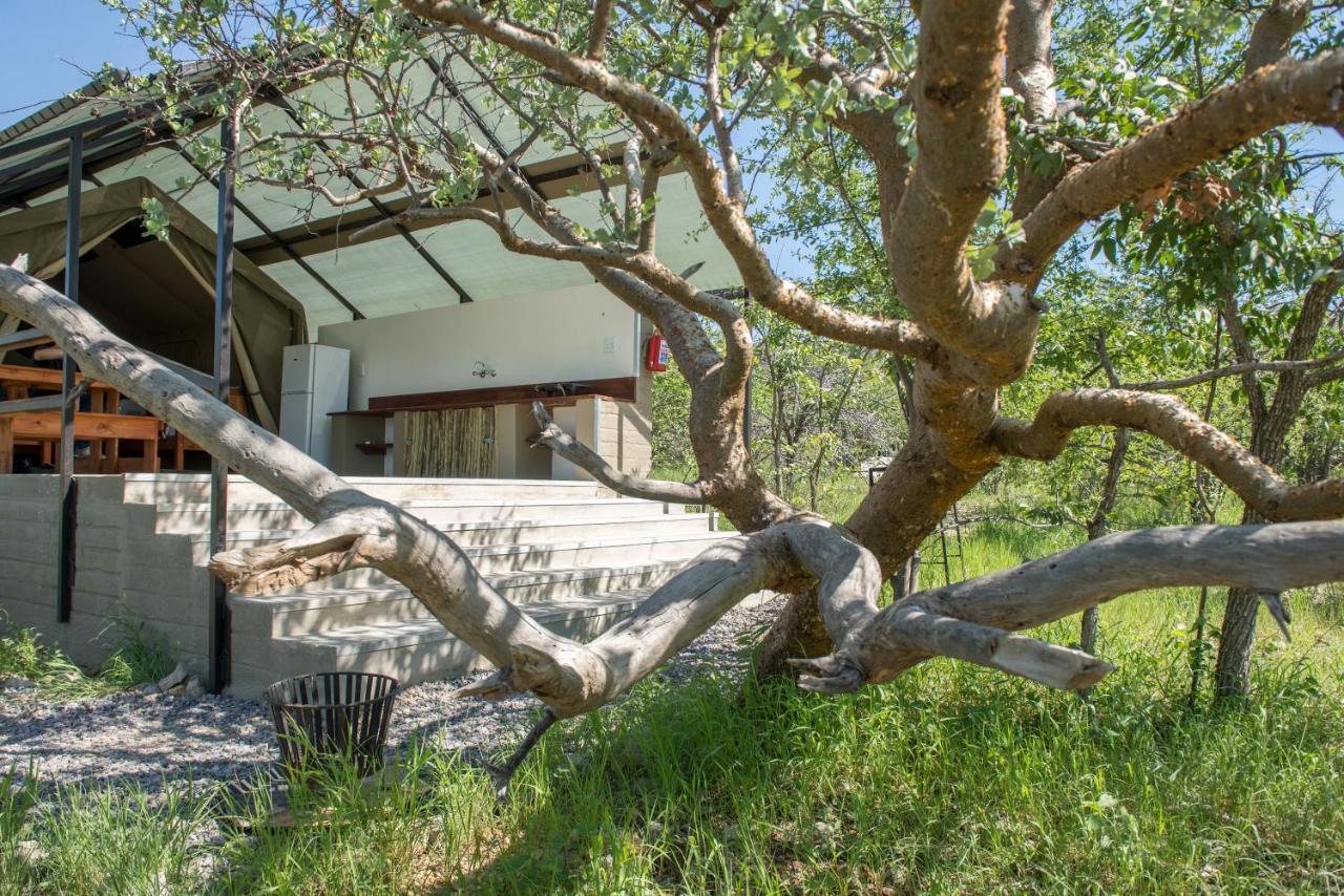 Etosha Safari Camping2Go Okaukuejo Zewnętrze zdjęcie